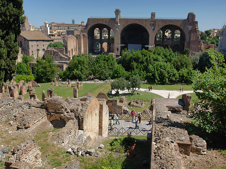 Blick auf das Forum Romanum Fotos