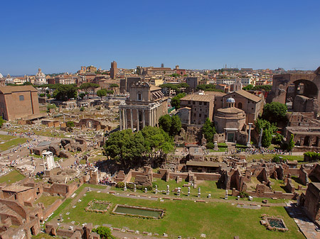 Blick auf das Forum Romanum Foto 