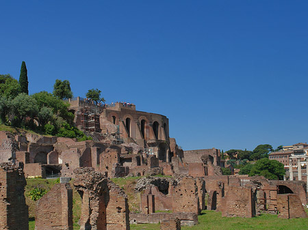 Foto Forum Romanum - Rom