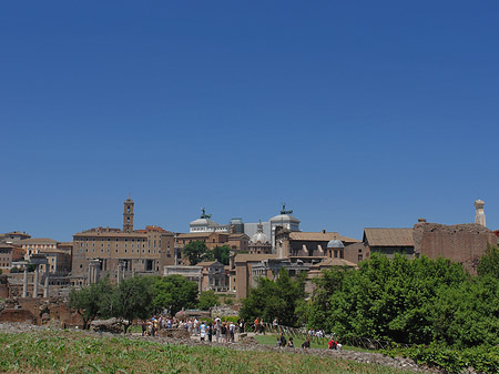 Fotos Forum Romanum | Rom