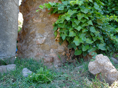 Fotos Steine im Forum Romanum