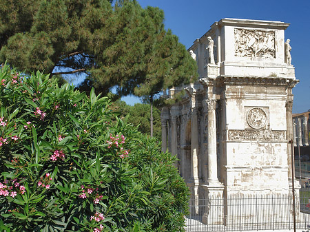 Fotos Konstantinsbogen mit Bäumen | Rom