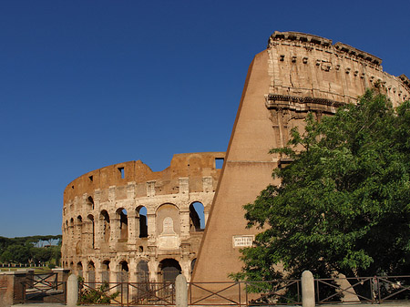 Bäume vor dem Kolosseum Fotos