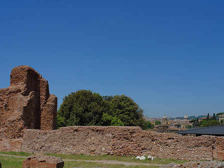 Fotos Palatin | Rom