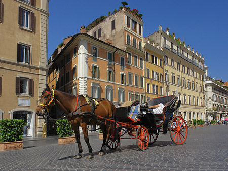 Fotos Pferdekutsche auf der Piazza die Spagna | Rom