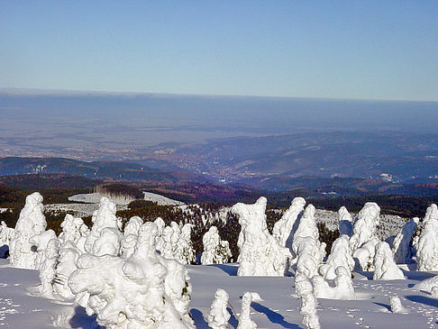Brockenwanderung Foto 