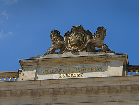 Foto Johanneum - Dresden