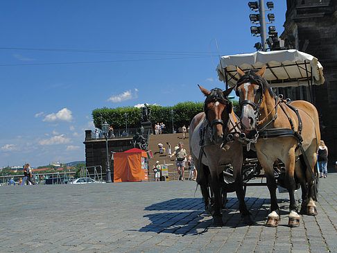 Foto Pferdekutsche - Dresden