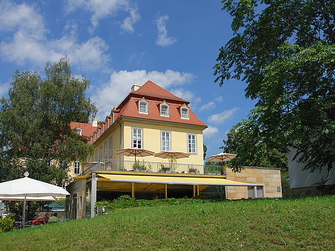 Foto Bärenzwinger