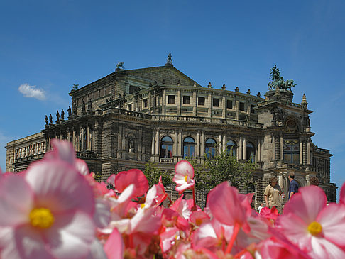 Semperoper mit Blumen Fotos