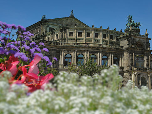 Semperoper mit Blumen Fotos