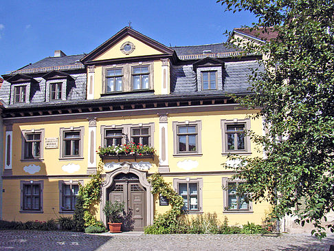 Fotos Albert Schweitzer Gedenkstätte | Weimar