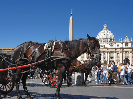 Fotos Pferdekutsche