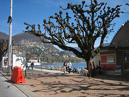 Lugano Foto 