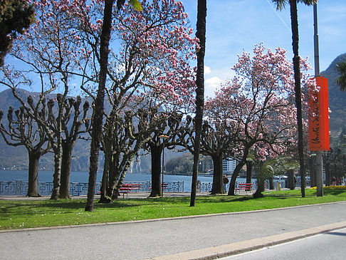 Lugano