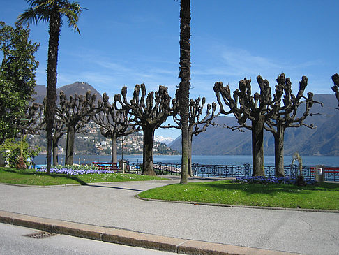 Foto Lugano