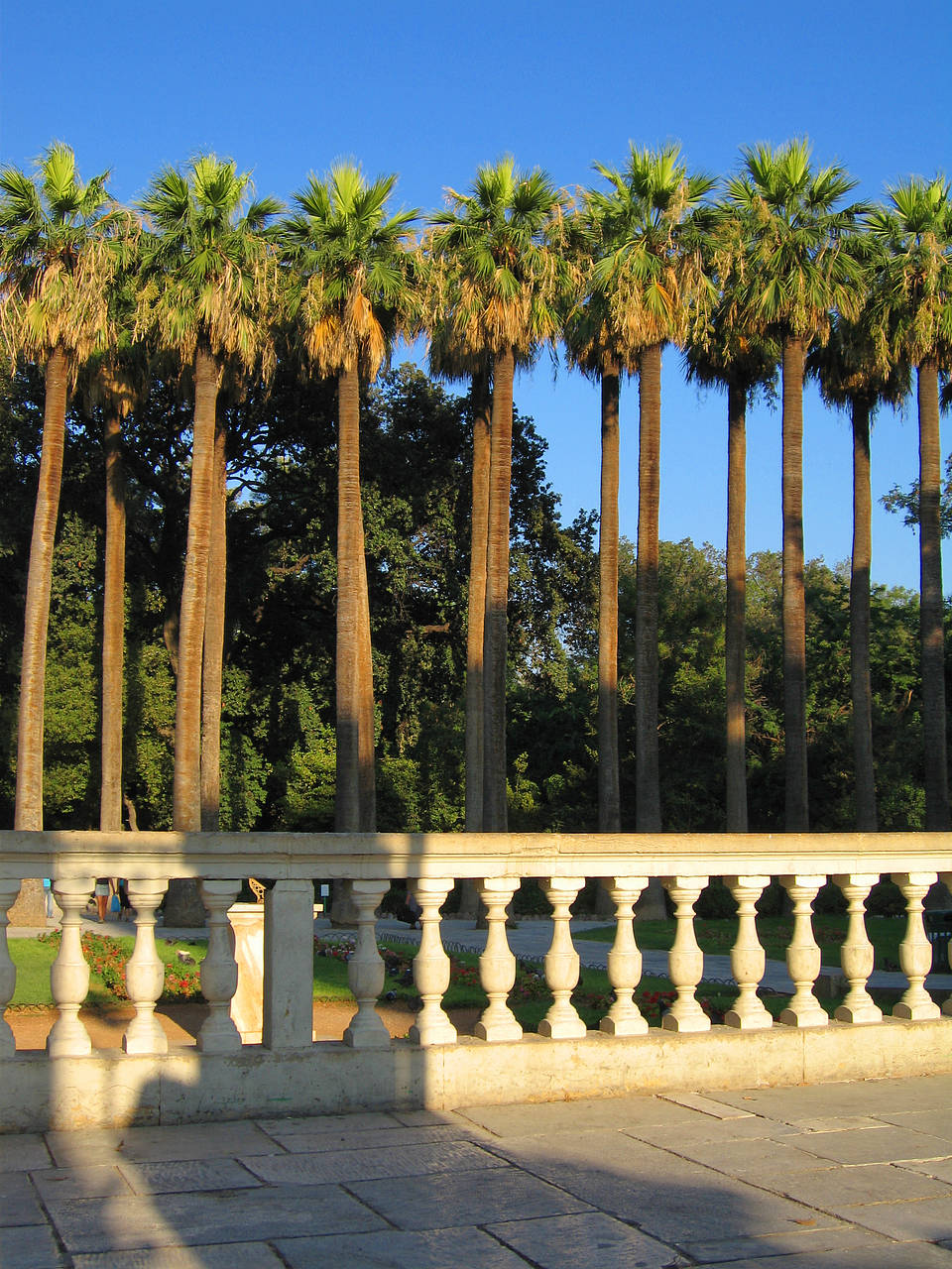  Fotografie Attraktion  Athen Königin Amalie ließ den Garten einst anlegen