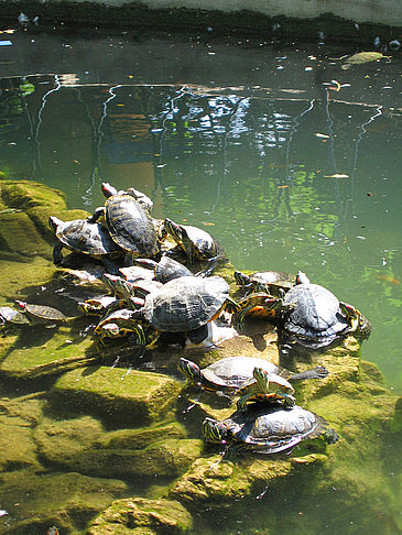 Fotos Nationalgarten | Athen