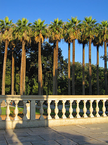 Foto Nationalgarten - Athen