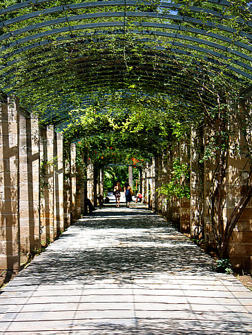 Fotos Nationalgarten | Athen